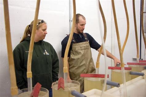 As Paddlefish Habitat Changes Biologists Keep The Species And Sport