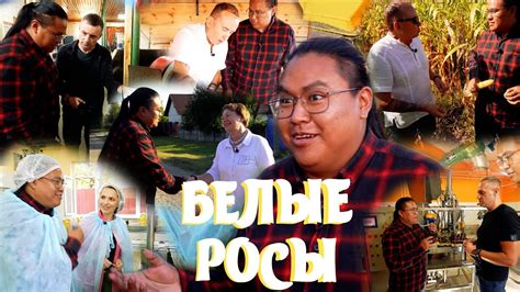 ПОЛЬЗА МАСЛА. Льняное или рапсовое лучше? Как ВЫБРАТЬ МАСЛО ...