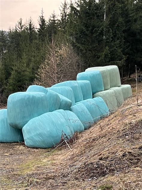 Silageballen Silo Ballen Kaufen Landwirt