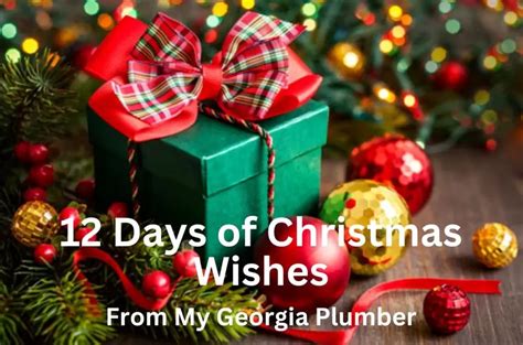 My Georgia Plumber Can Make Your Christmas Wish Come True