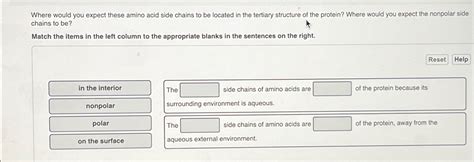 Solved Where would you expect these amino acid side chains | Chegg.com