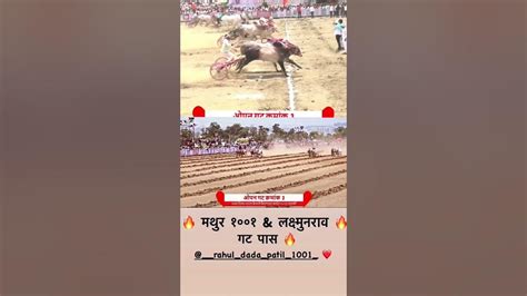 भारत केसरी मैदान मथुर आणि लक्ष्मणराव गट पास 👑🔥 ️viral Treding