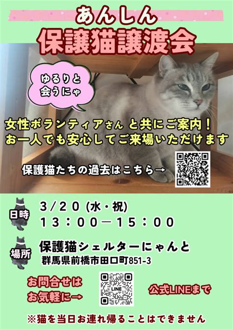 320水・祝1300~1500 第3回「あんしん保護猫譲渡会」を開催します！ 保護猫シェルターにゃんと