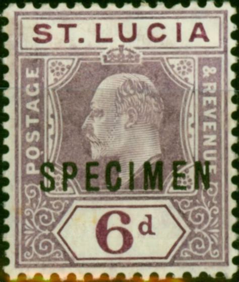 St Lucia 1910 6d Dull Purple Specimen Sg73s Fine Vlmm Stamps