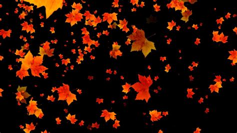 Fall Leaves Backgrounds ·① Wallpapertag