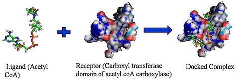 Figure 1 From Applications Of Molecular Docking Its Impact And