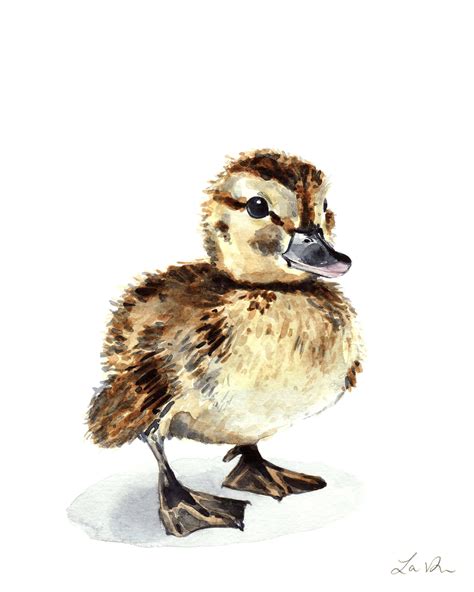 Mallard Duck No Art Print Duckling Watercolor Baby Duck Painting