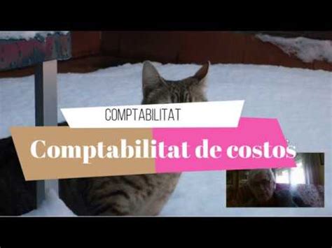 Comptabilitat De Costos Youtube