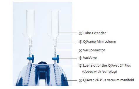 Qiaamp Circulating Nucleic Acid Kit Cat No Qiagen