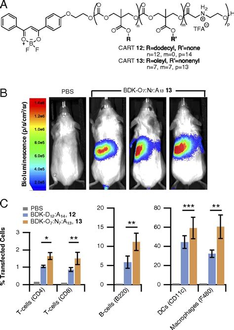 Enhanced Mrna Delivery Into Lymphocytes Enabled By Lipid Varied