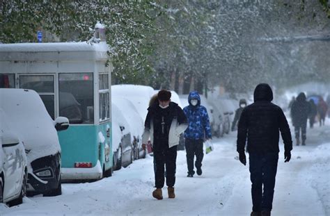 局地积雪达65厘米，五问东北、内蒙古寒潮强降雪天气 新闻频道 和讯网