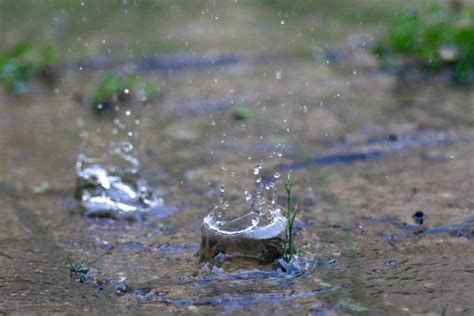 Vents Violents Pluies Abondantes Et Risques D Inondations La Temp Te