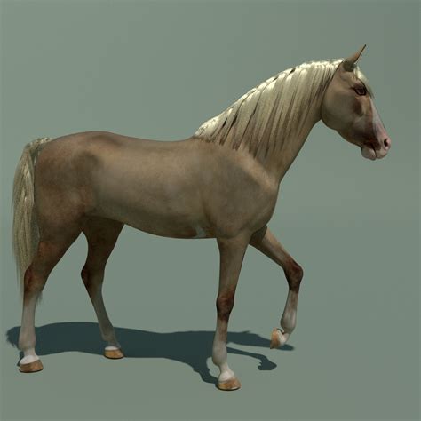 Horse 3D model :: Behance