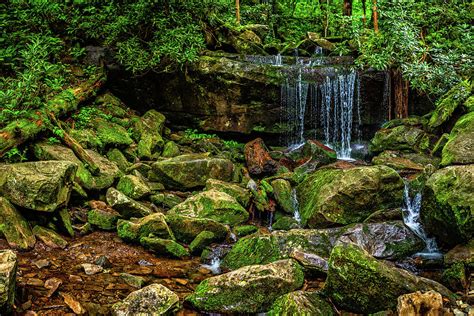 Rainbow Falls Hike Photograph by Gestalt Imagery - Pixels