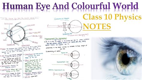 Class 10 Physics Chapter 2 Human Eye And Colourful World Notes Our