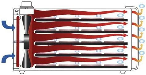 Horizontal Vs Vertical Air Flow System In A Dehydrator Which One Is Best