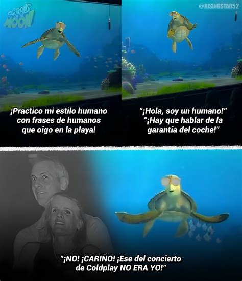 Tortuga Buscando A Nemo Nombre 1