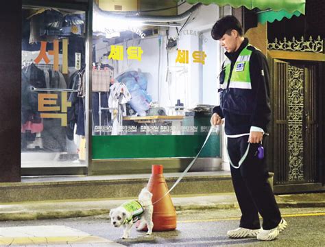 우리 동네는 ‘내가 지킬개 커버스토리 반려견 순찰대를 아시나요 보도자료 반려견 순찰대