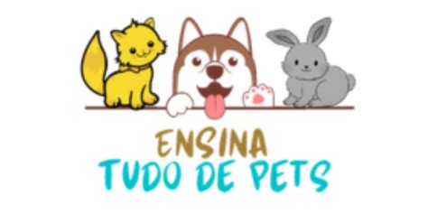 Arquivo Story Ensina Tudo De Pets O Seu Manual De Informa Es