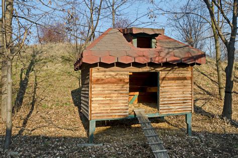 Chicken Coop Ideas for New and Existing Coops (50+ Pictures)