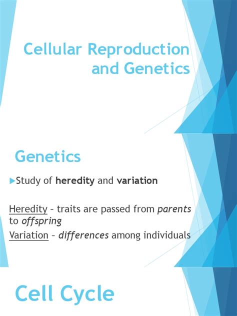 Cellular Reproduction and Genetics | PDF | Meiosis | Mitosis