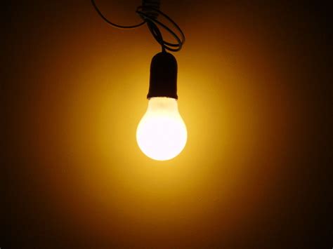facts  incandescent light bulbs dengarden