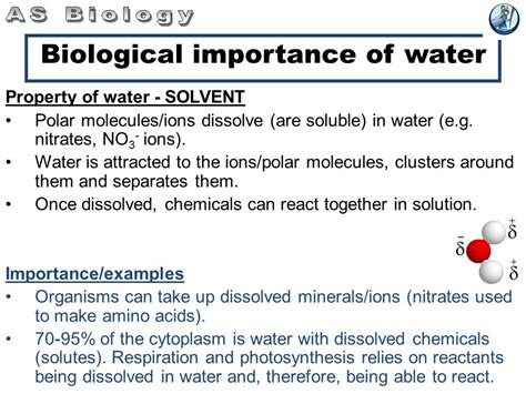 Why Does Water Support Life Overview Examples Expii 43 OFF