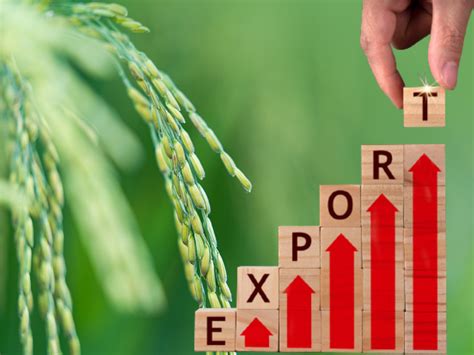 India S Agricultural And Processed Food Products Exports Up By