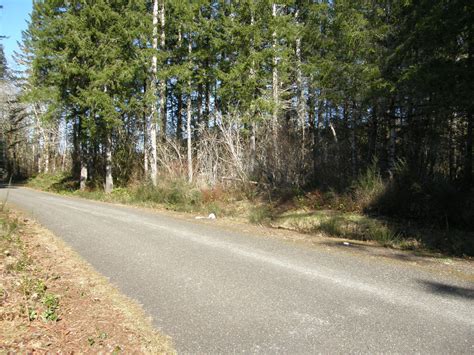 Elma Mason County Wa Timberland Property Undeveloped Land For Sale