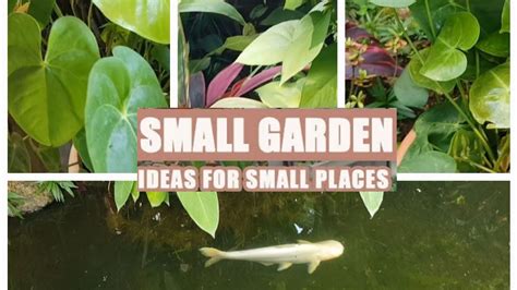 Most Beautiful Garden Idea For Small Space YouTube