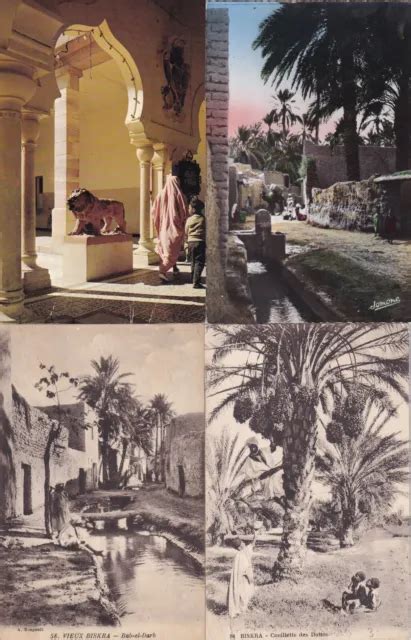 LOT DE 4 Cartes Postales Anciennes Postcards ALGERIE ALGERIA BISKRA 3