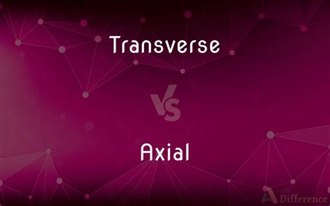 Transverse Vs Axial — Whats The Difference