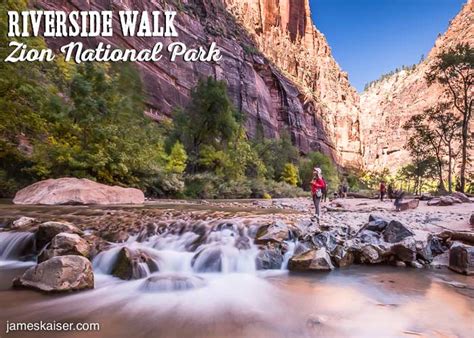 Exploring Riverside Walk [Insider Guide] • Zion National Park