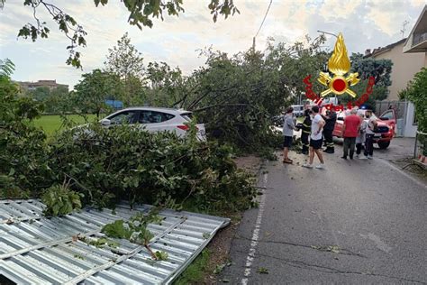 Maltempo Tromba D Aria Nel Milanese Alberi Caduti E Danni Notizie