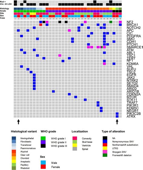 Oncoplot Summarizing Relation Between Histological Variant Who Grade