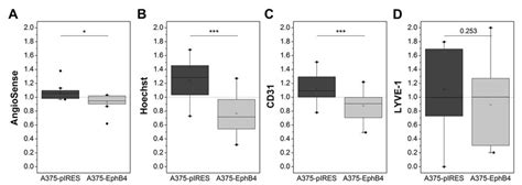 Overexpression Of Ephb4 In A375 Melanoma Cells Decreases Amount Of Download Scientific Diagram