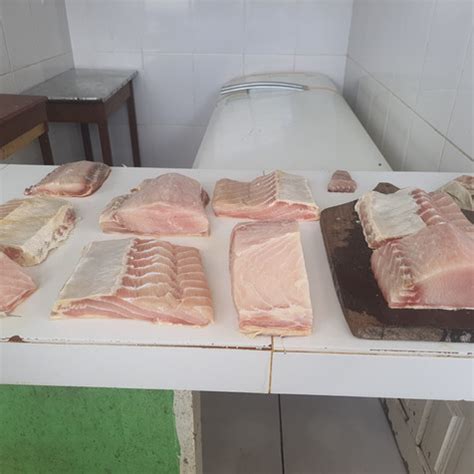 Imagens De Comercializa O Guia De Peixes Comercializados Em Monte Alegre