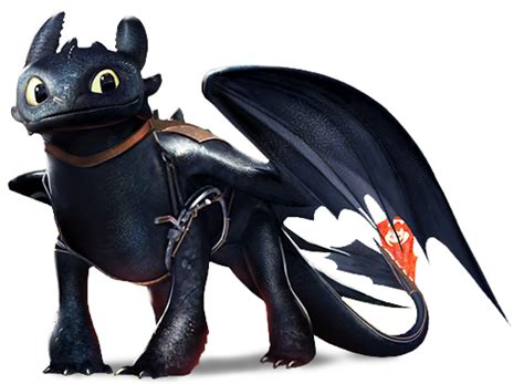 Toothless | Dragons: Rise of Berk Wiki | Fandom | Toothless dragon ...