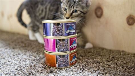 General Mills Pet Segment Sales Increased By 9 To Us25 Billion In