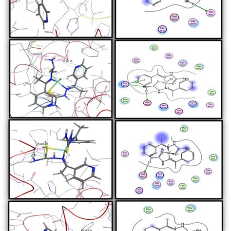 Cu II Pd II And Ni II Complexes From 3 Acetylpyridine And