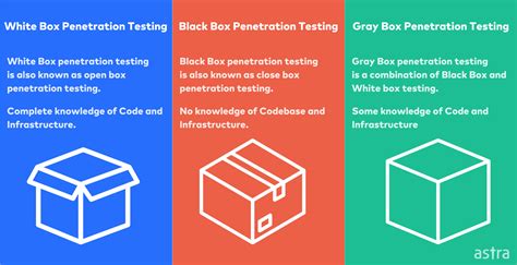 What Is White Box Penetration Testing