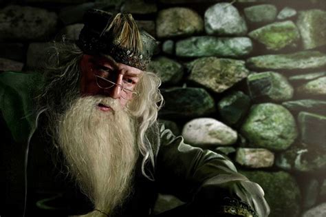 Pin On Albus Percival Wulfric Brian Dumbledore