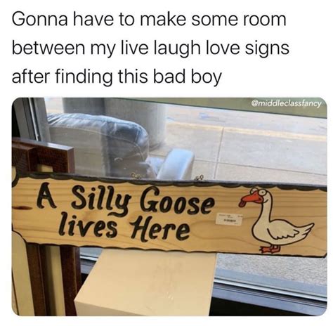 A Silly Goose Lives Here - Meme - Shut Up And Take My Money