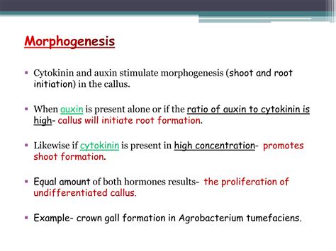 Plant Hormone Part 3 Cytokinins Ppt