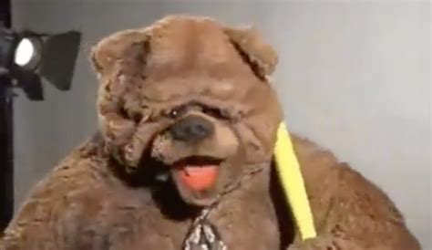 Bobo The Bear From 'The Muppets' Auditions For 'Star Wars' In This Old ...