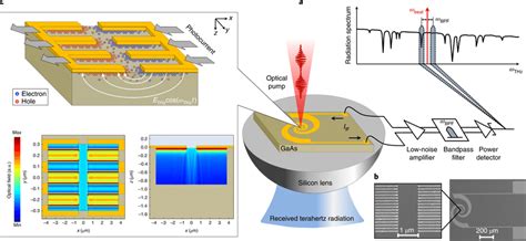 Principles Of Heterodyne Terahertz Detection Through Plasmonic