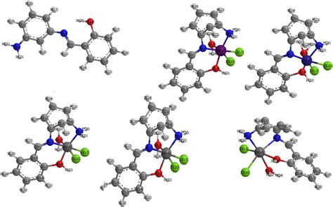 The Optimized Structures Of The Schiff Base Ligand Hl And Its Metal