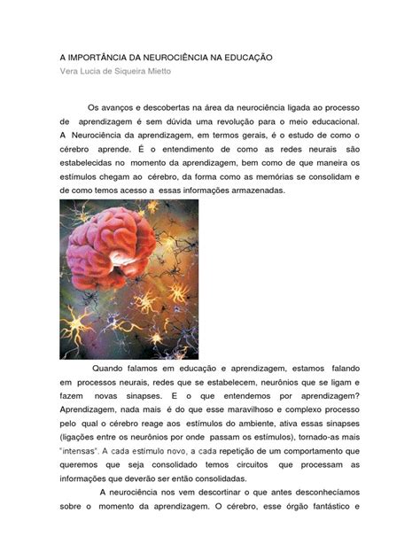 Em Relação Às Conexões Entre Neurociência E Práticas Docentes - Neurociência e Educação: Conexões Essenciais | PDF | Telencéfalo | Neurônio