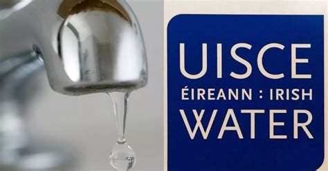 Irish Water plans to send thousands of wrong bills out - Irish Mirror ...