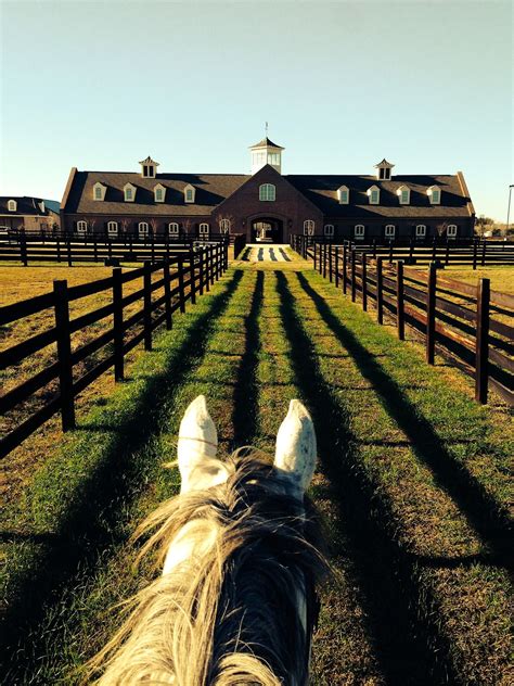 Meredith Horses Horse Barns Horse Farms